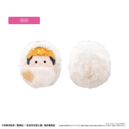 正反對的你與我 くるみたぴぬい 雪人款 【全套BOX／6個裝】