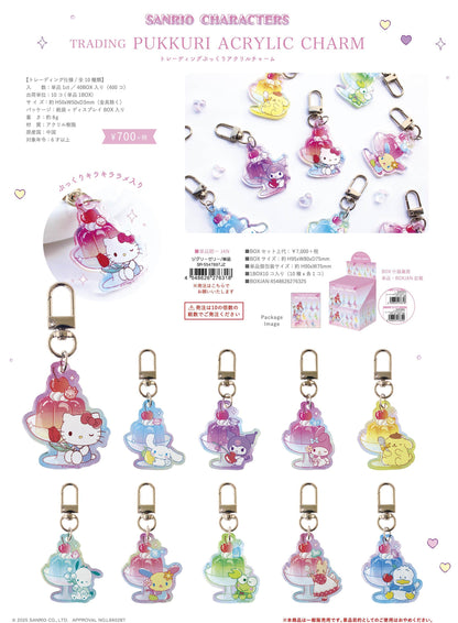 《三麗歐》 盲盒立體亞克力掛件 果凍系列【BOX／10個裝】