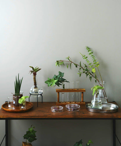 三角燒瓶：200ml/SCIENCE