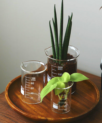 燒杯：50ml/SCIENCE