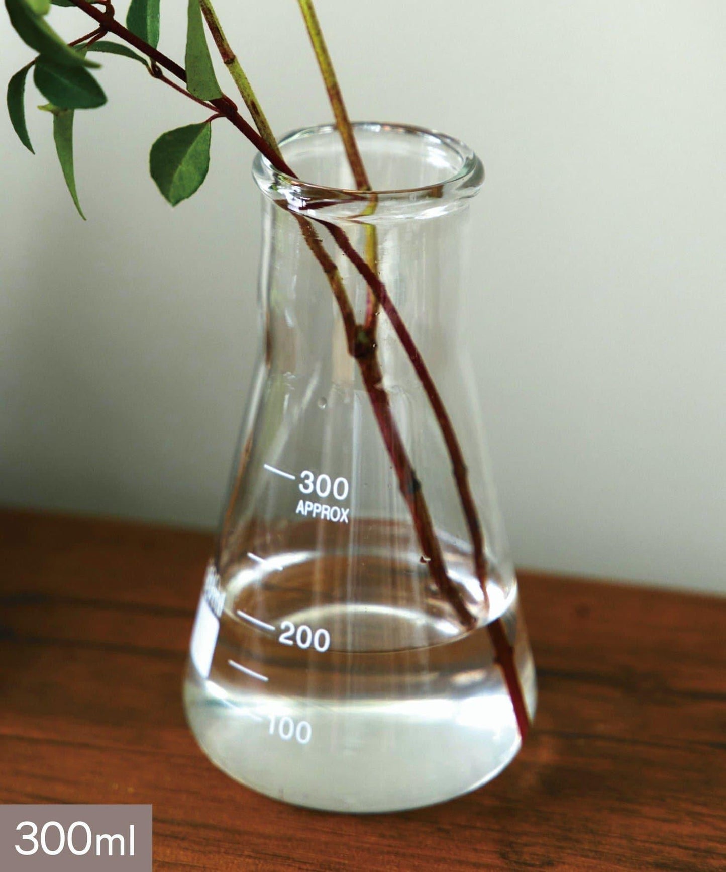 廣口燒瓶：300ml/SCIENCE