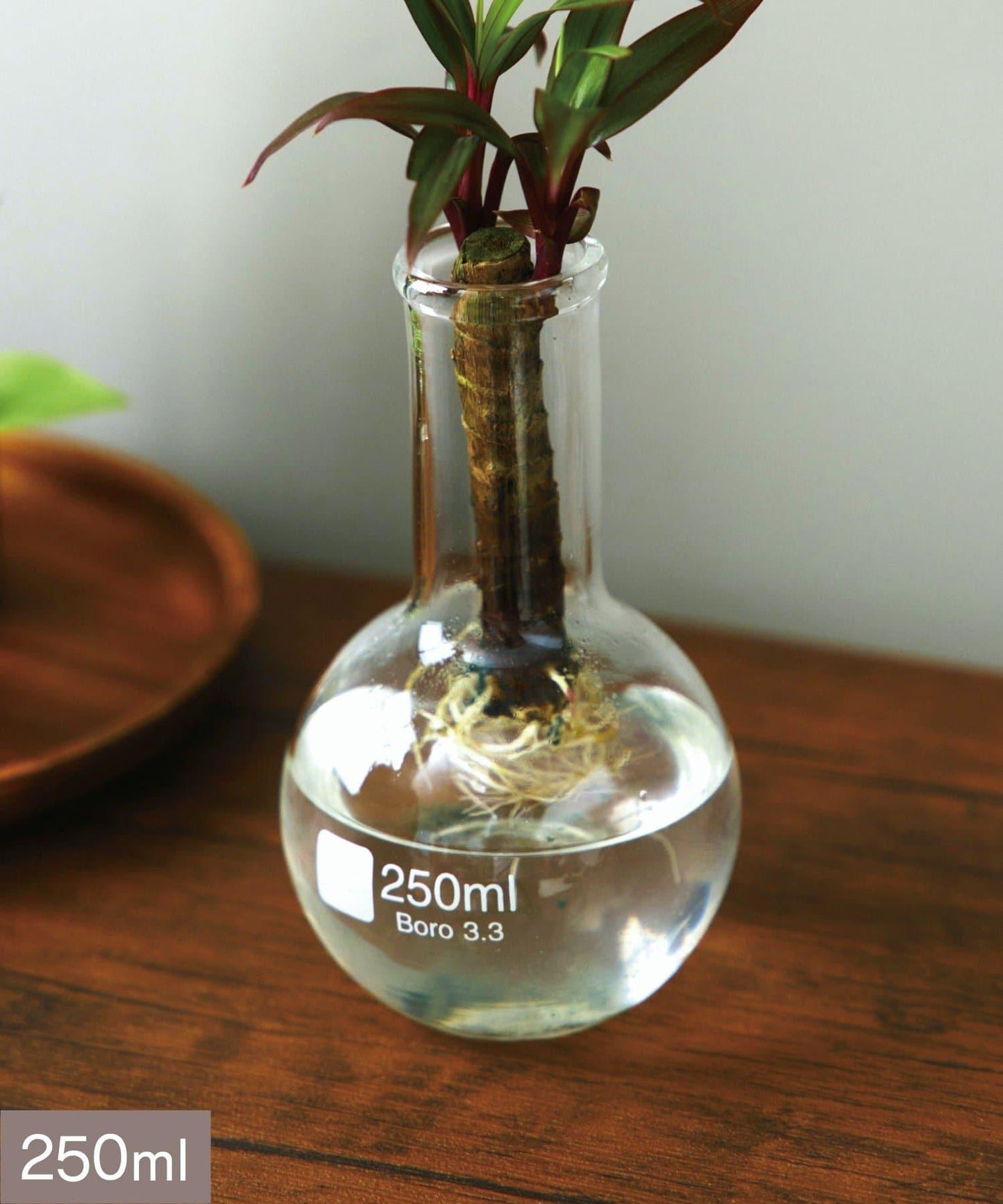 平底燒瓶：250ml/SCIENCE