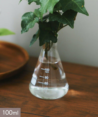 三角燒瓶：100ml/SCIENCE