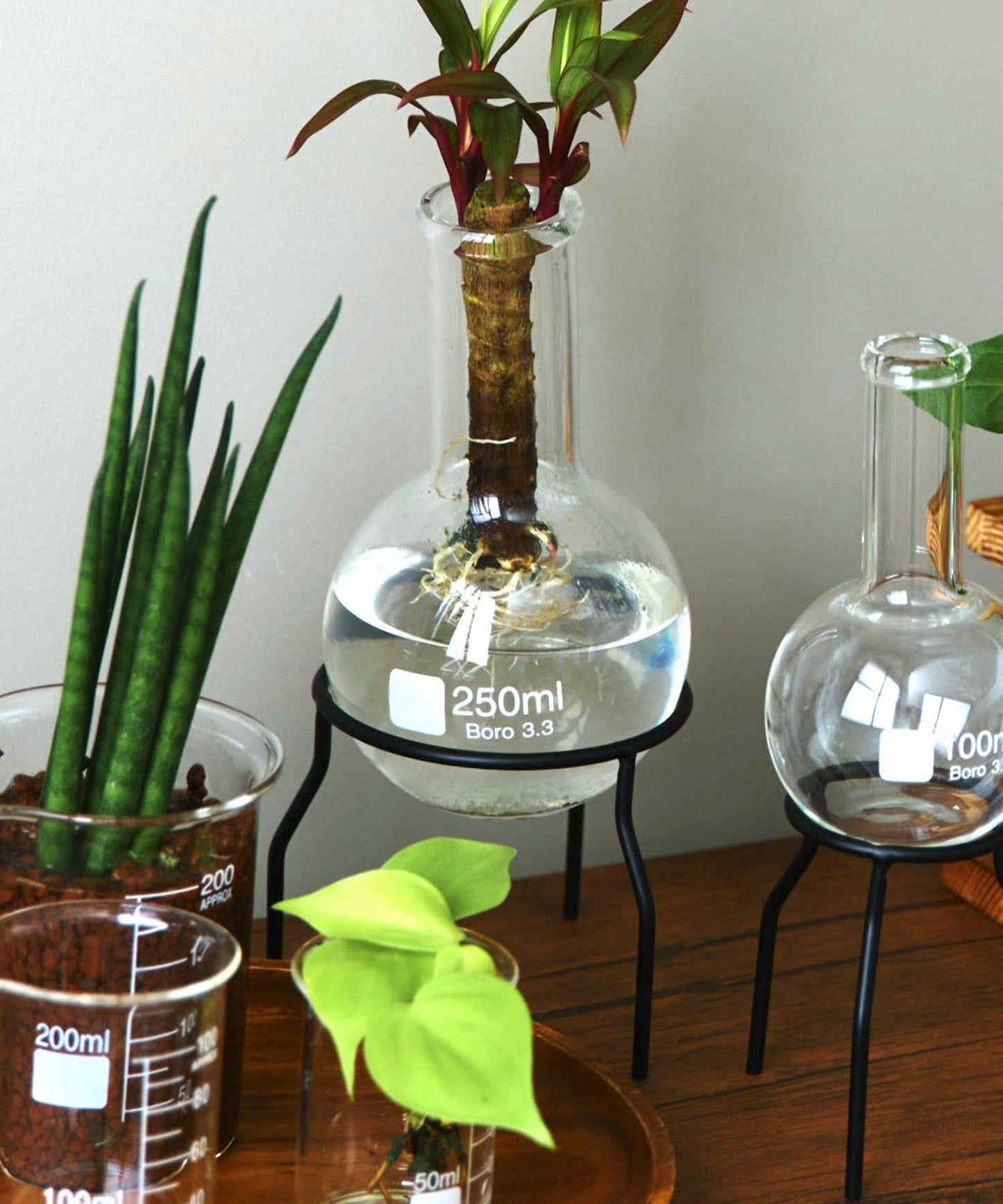 平底燒瓶：250ml/SCIENCE