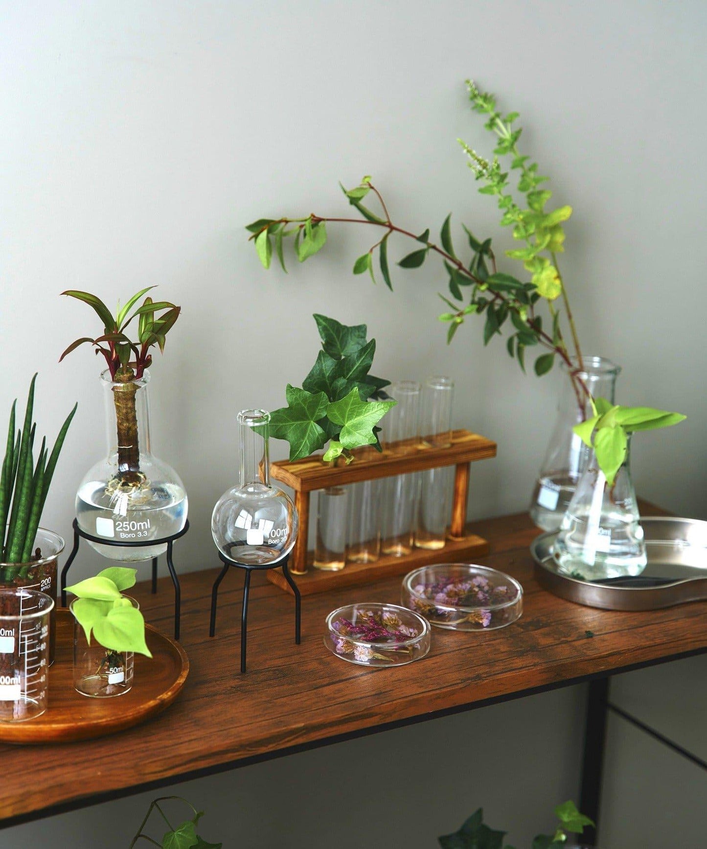 平底燒瓶：250ml/SCIENCE