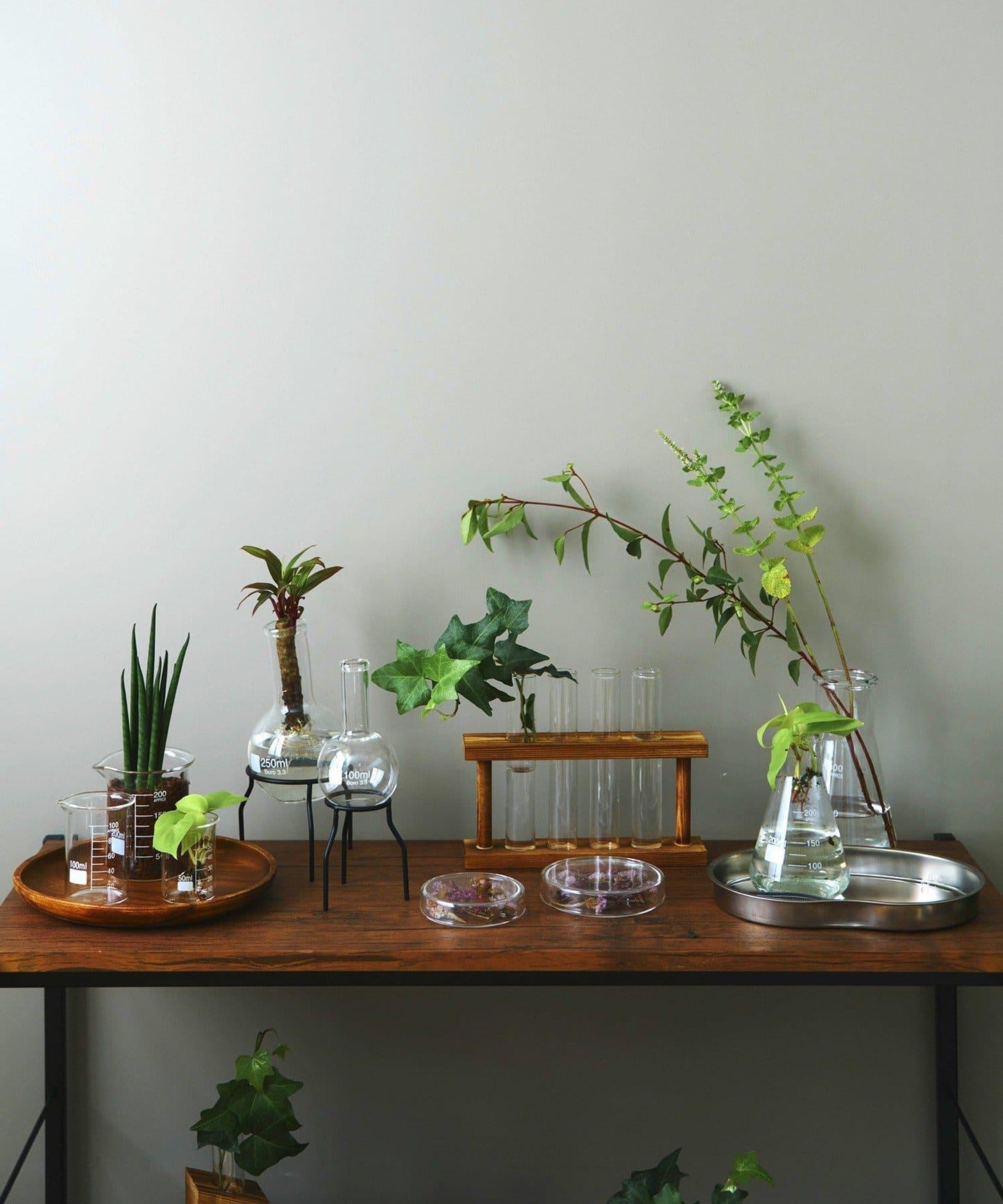 平底燒瓶：250ml/SCIENCE