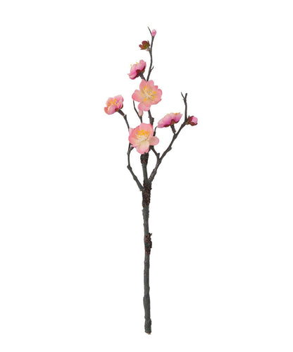 春日梅/正月のお飾り