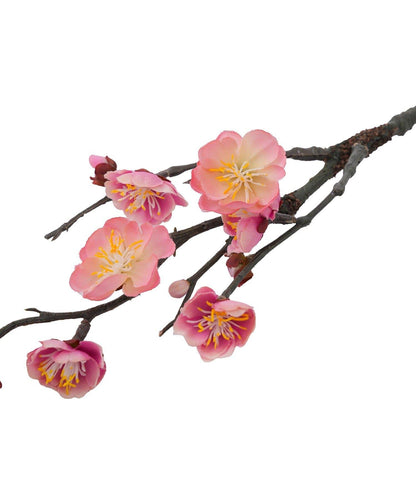 春日梅/正月のお飾り