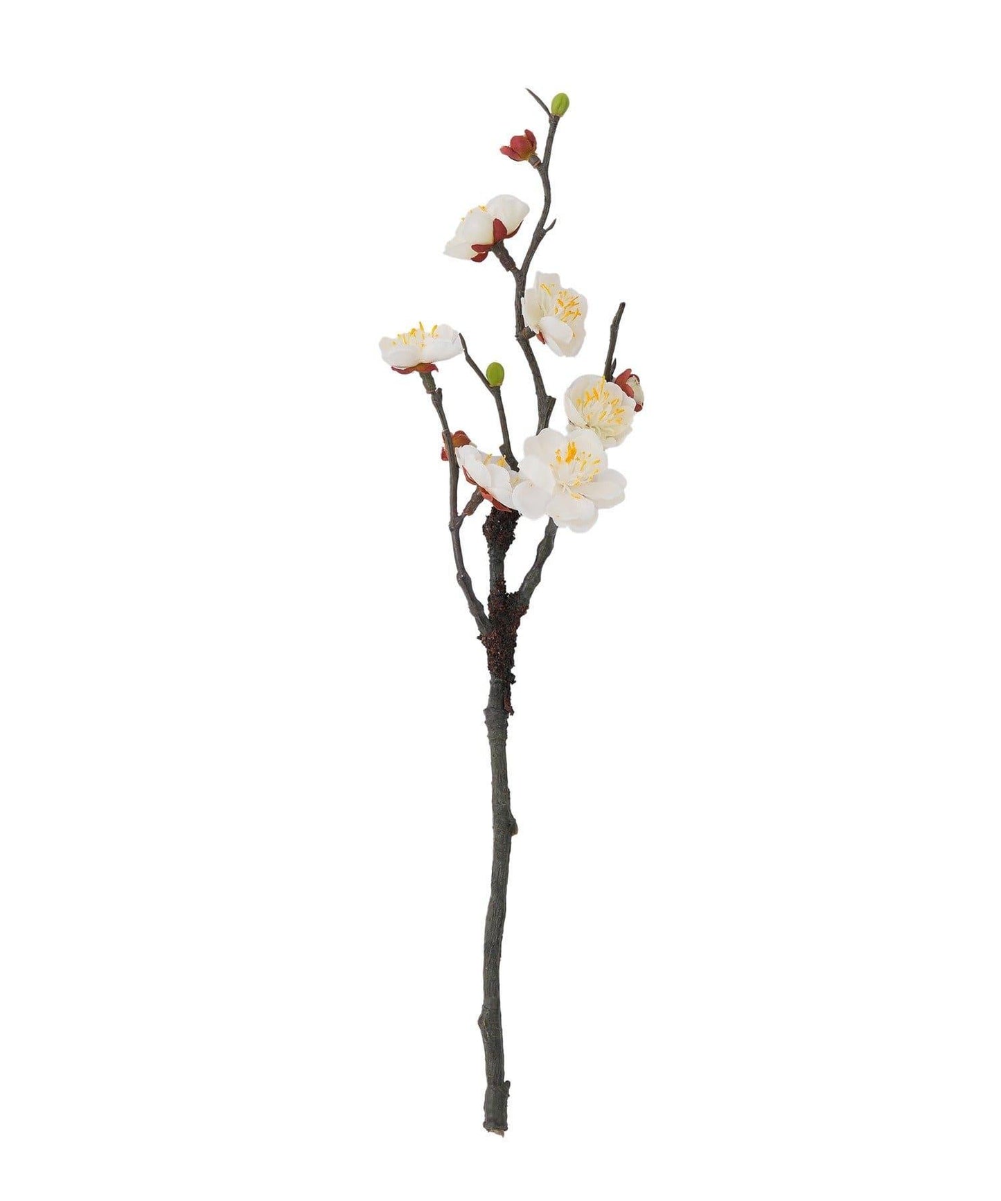 春日梅/正月のお飾り