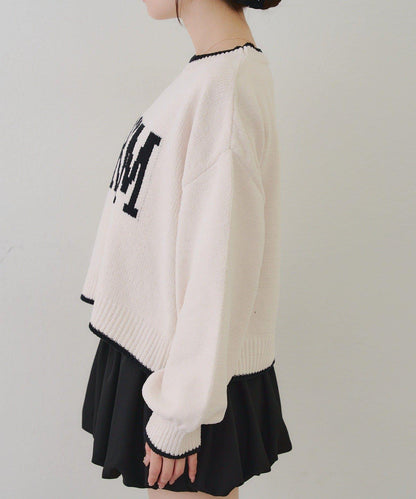 拼色條紋標誌針織衫