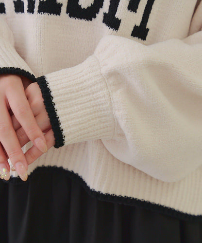 拼色條紋標誌針織衫