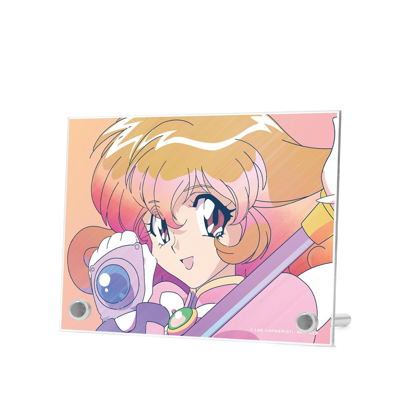 收藏者YUI Ani-Art透明標籤A6亞克力面板