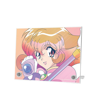 收藏者YUI Ani-Art透明標籤A6亞克力面板