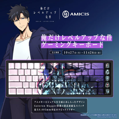 《我獨自升級》 | AMICIS 遊戲鍵盤 65HE 英文佈局