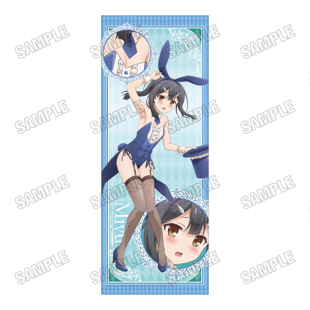 劇場版 Fate/kaleid liner 魔法少女☆伊莉雅 Licht 無名少女_新繪等身大掛毯【兔女郎Ver.】③美遊