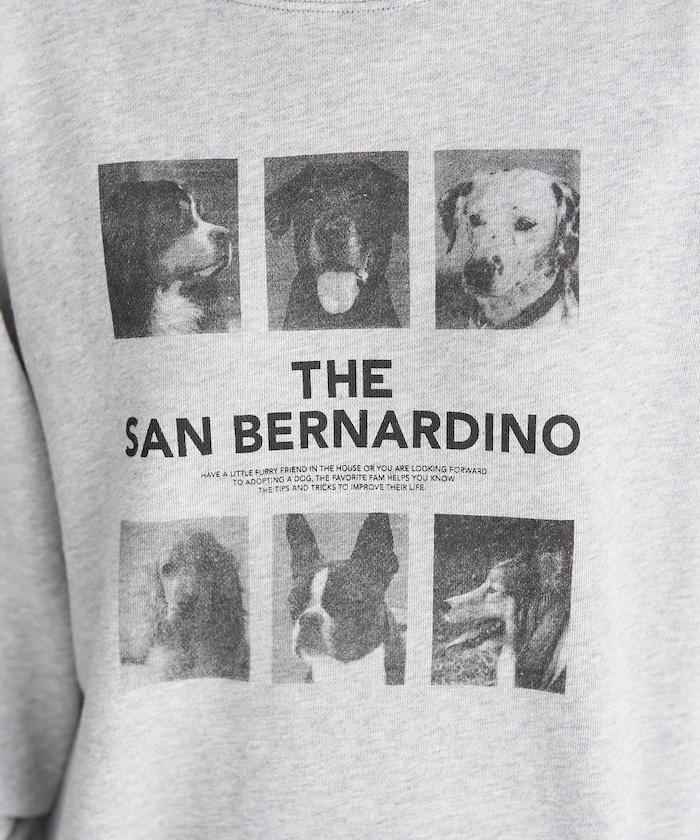 狗狗照片印花衛衣