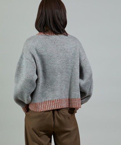 拼色標誌針織衫