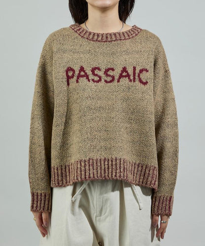 拼色標誌針織衫