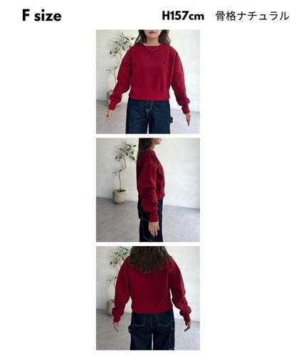 【U.S. POLO ASSN.】短款加絨套頭衫