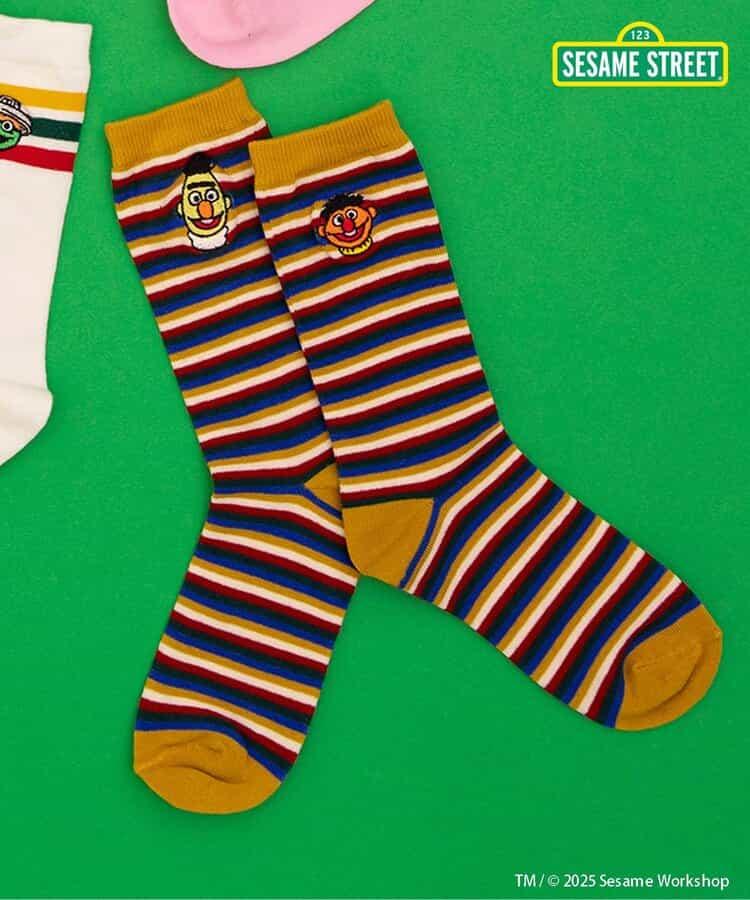 芝麻街 襪子