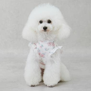 【DOG】【SWIM】荷葉邊圖案背心