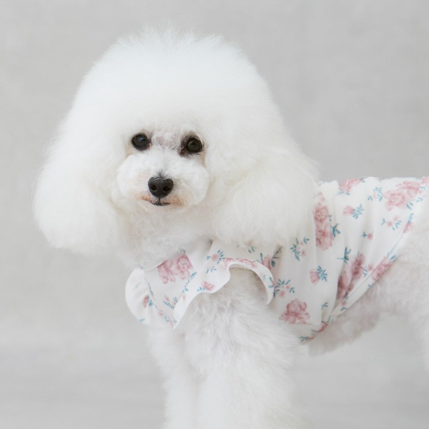 【DOG】【SWIM】荷葉邊圖案背心