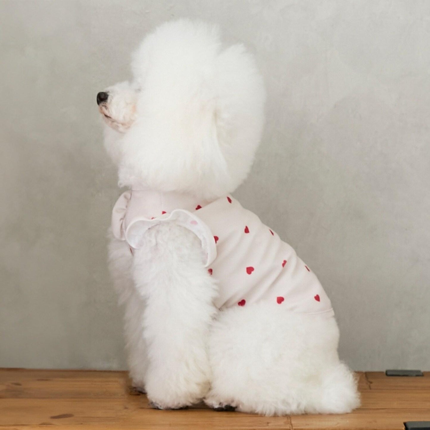 【DOG】【SWIM】荷葉邊圖案背心