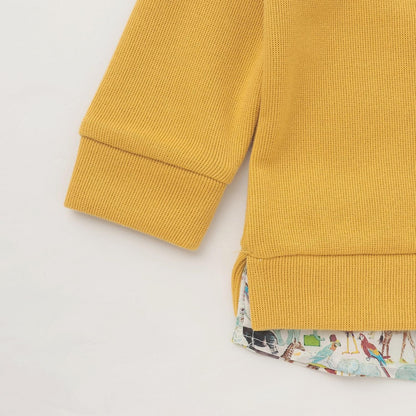 Q-fourth Zoo泰迪熊衛衣