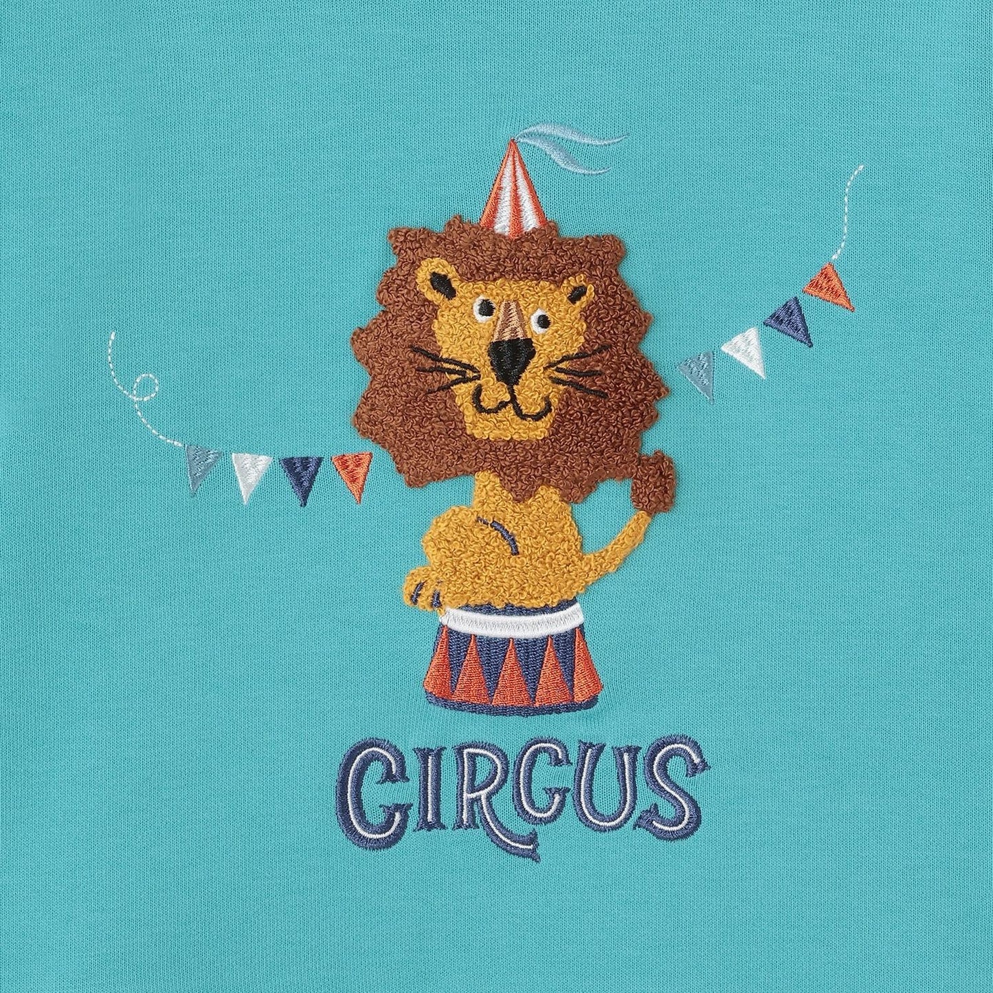 馬戲團獅子馴獸師