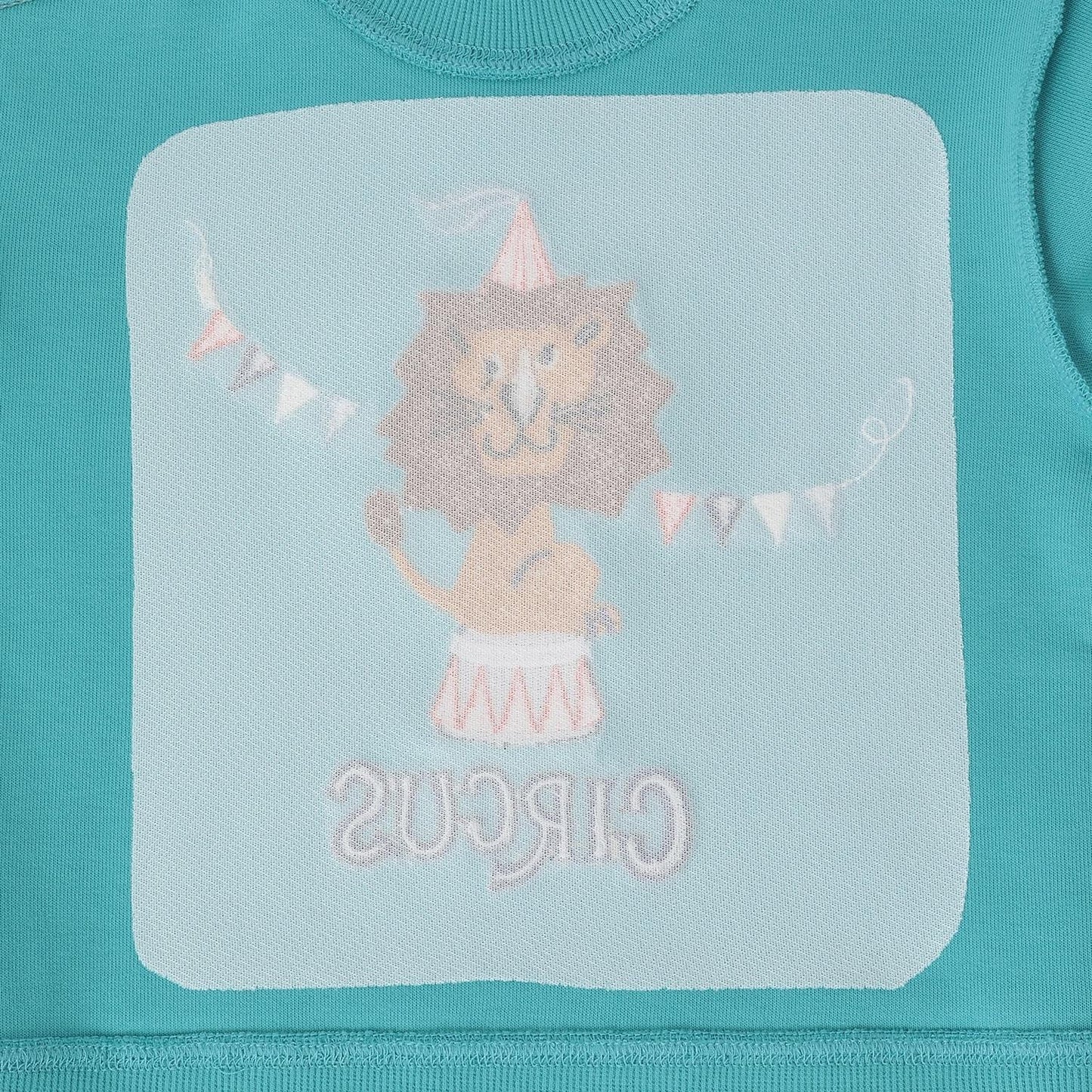 馬戲團獅子馴獸師