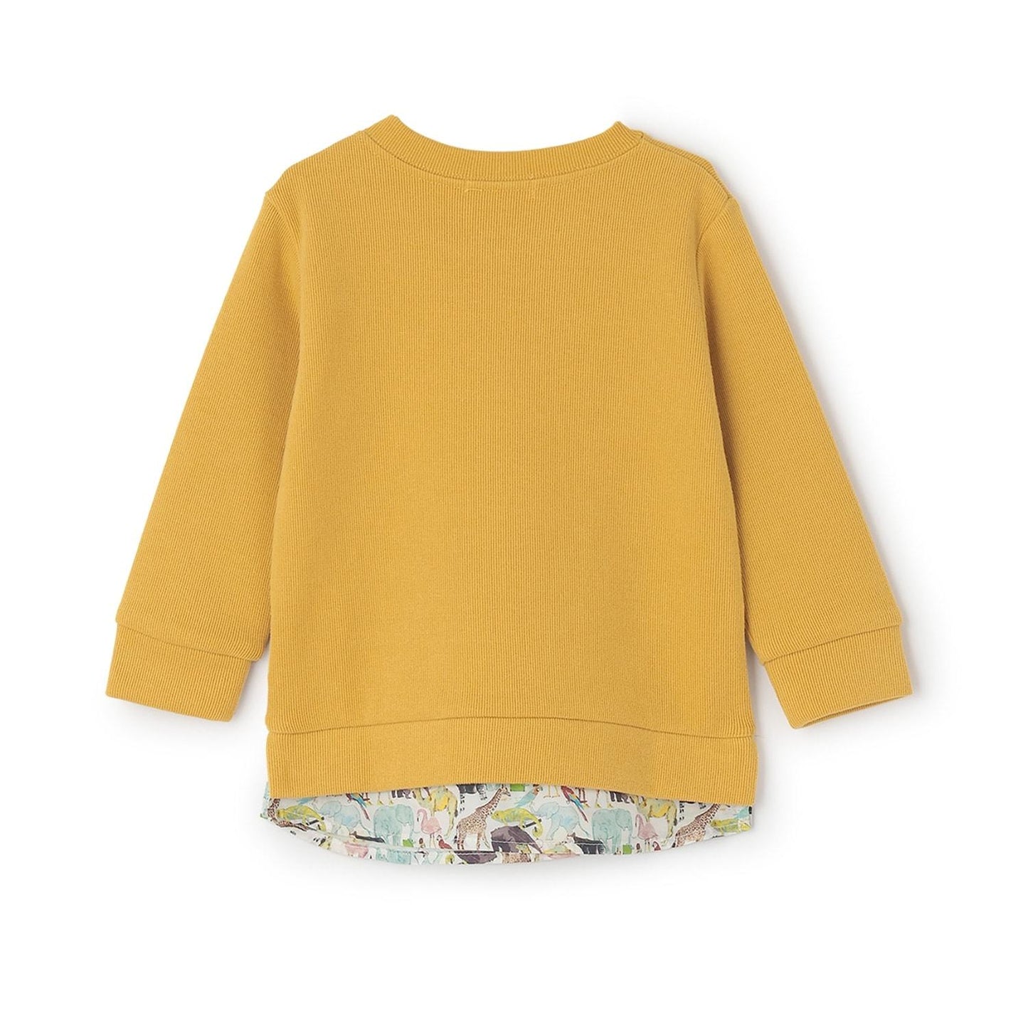 Q-fourth Zoo泰迪熊衛衣