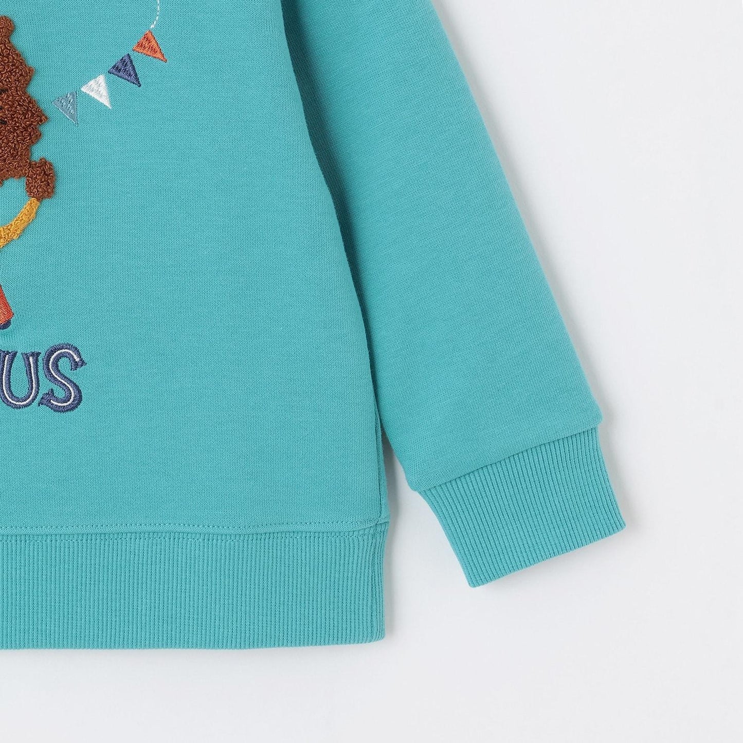 馬戲團獅子馴獸師