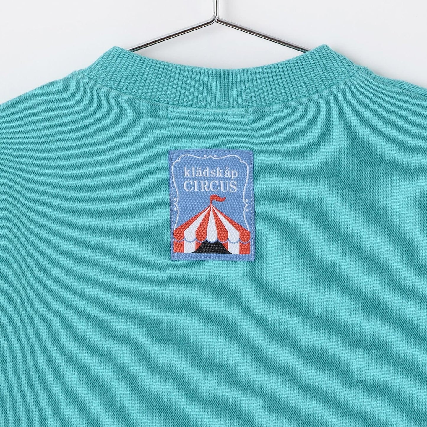 馬戲團獅子馴獸師