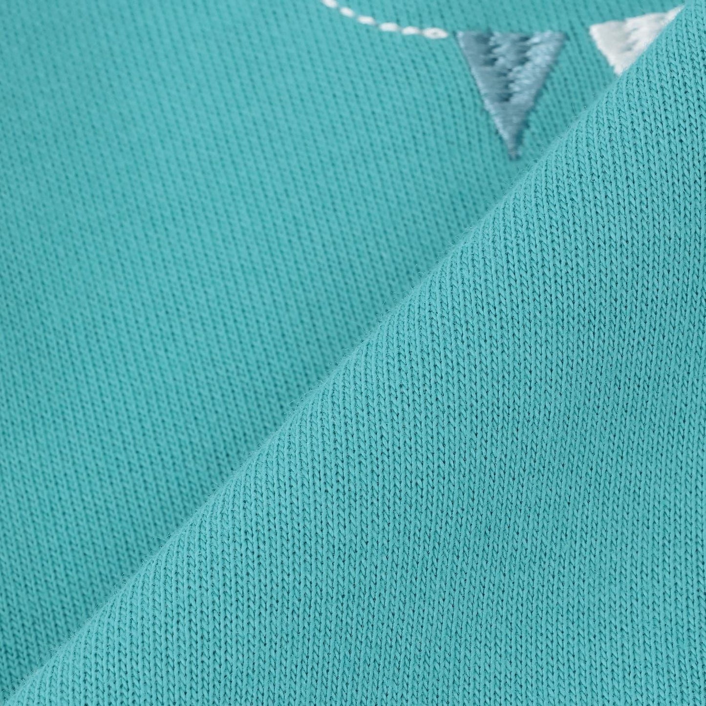 馬戲團獅子馴獸師