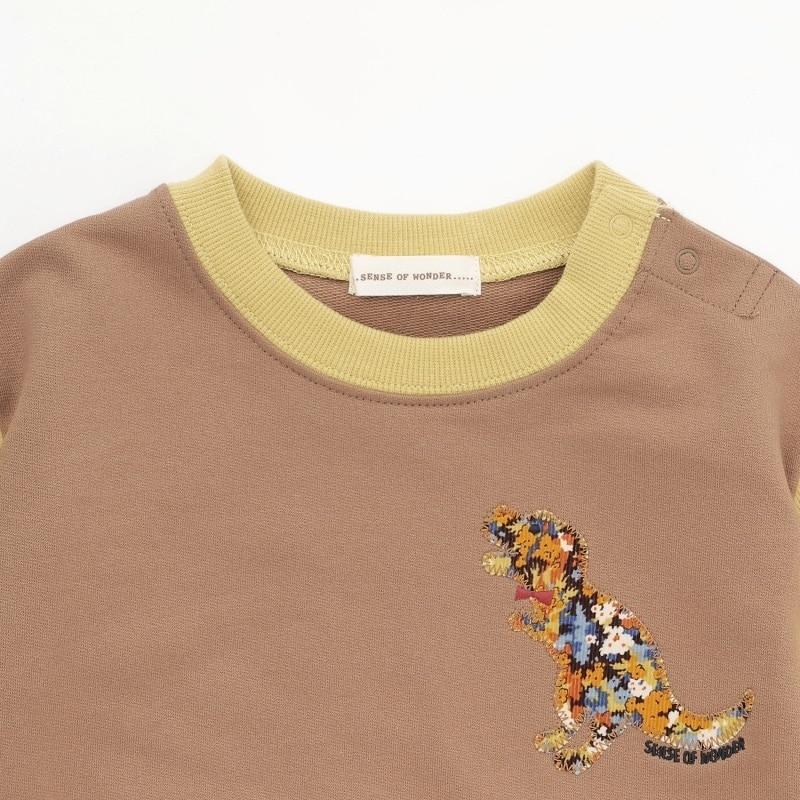 Liberty芫荽恐龍衛衣