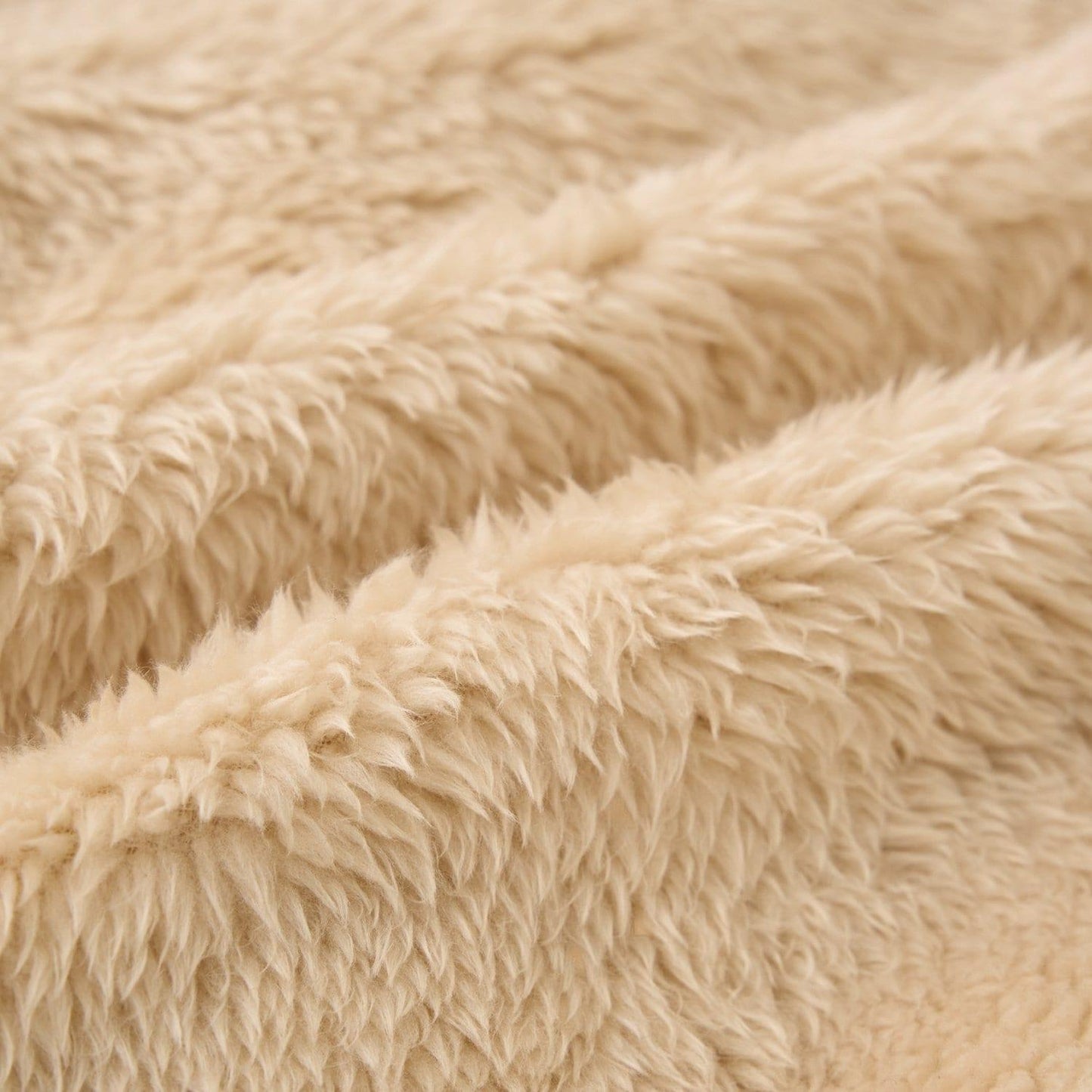 【スタジオハヌル】帕姆&塔爾特毛絨拉鍊連帽衛衣