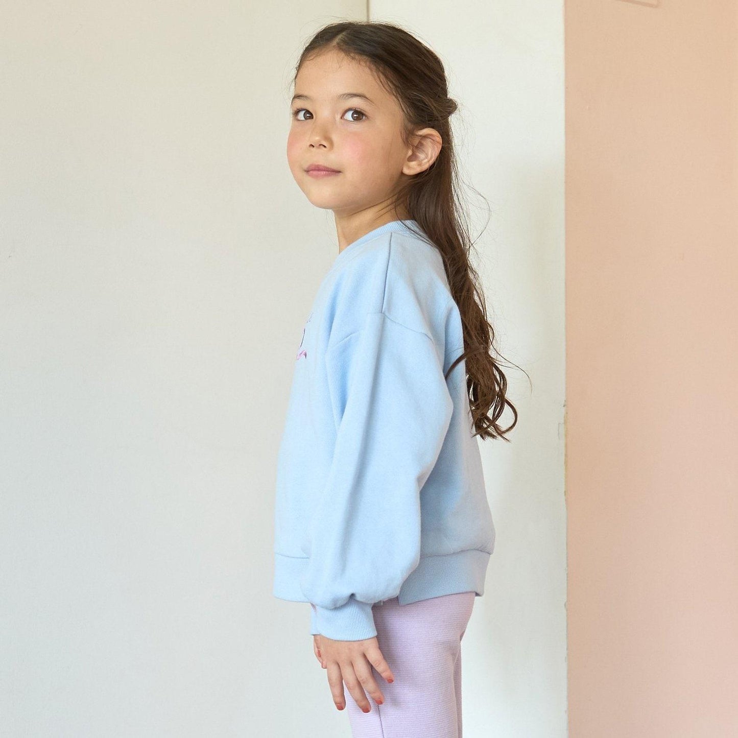 【毛球拜拜裡毛】蝴蝶結刺繡衛衣