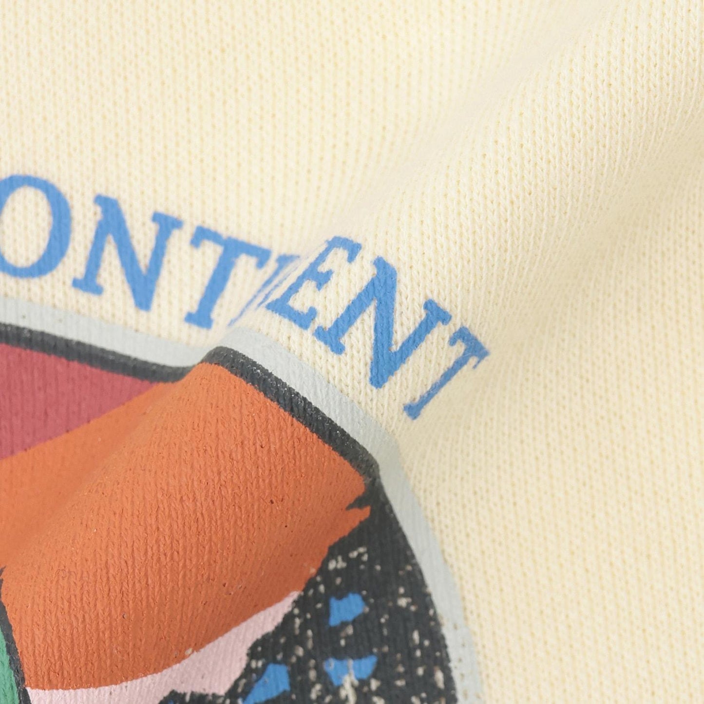 恐龍印花加絨衛衣【吸溼發熱加工】