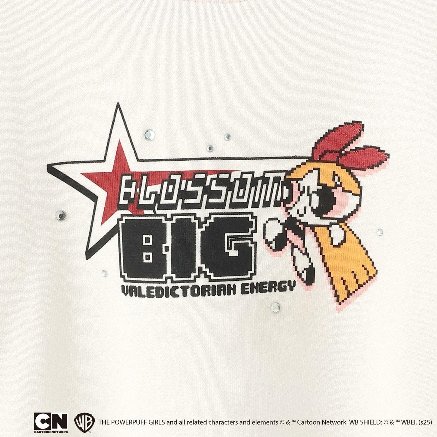 【防汙加工】【飛天小女警】混合角色衛衣