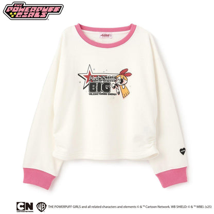 【防汙加工】【飛天小女警】混合角色衛衣