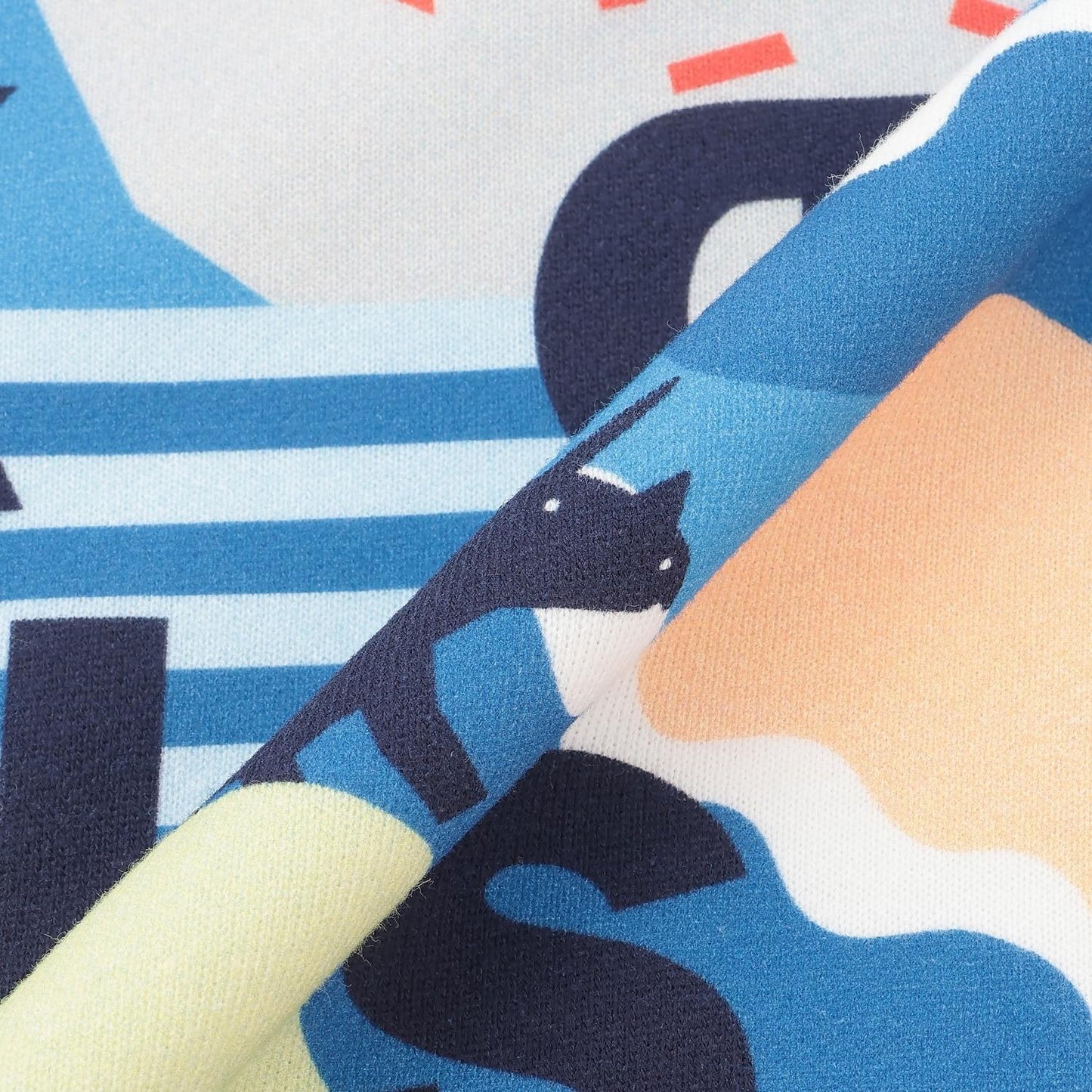 恐龍圖案LOGO印花衛衣