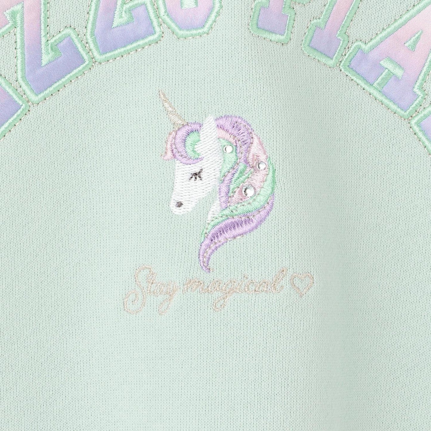 【人氣商品】【直營店無售】動物圖案毛絨袖衛衣