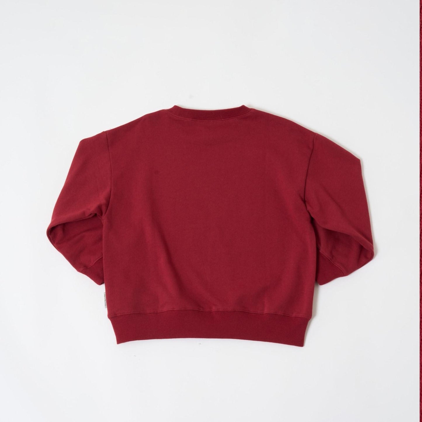 【親子款】【365D.】城市圖標刺繡寬鬆衛衣