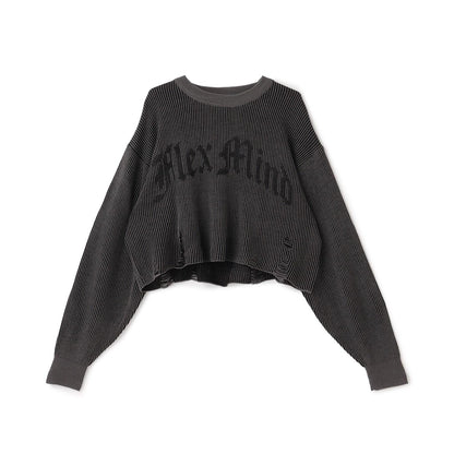 【LTXC】標誌復古短款針織衫