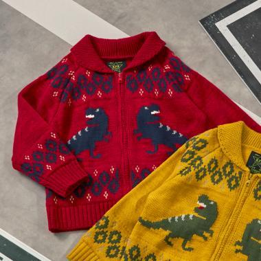 恐龍圖案考欽毛衣