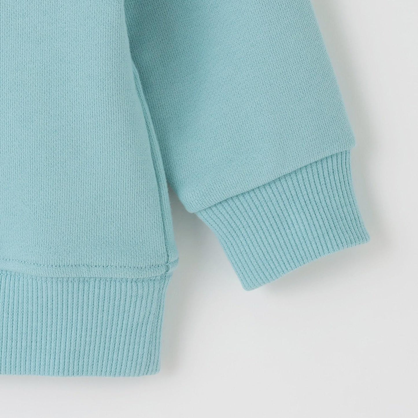 動物與恐龍與汽車衛衣