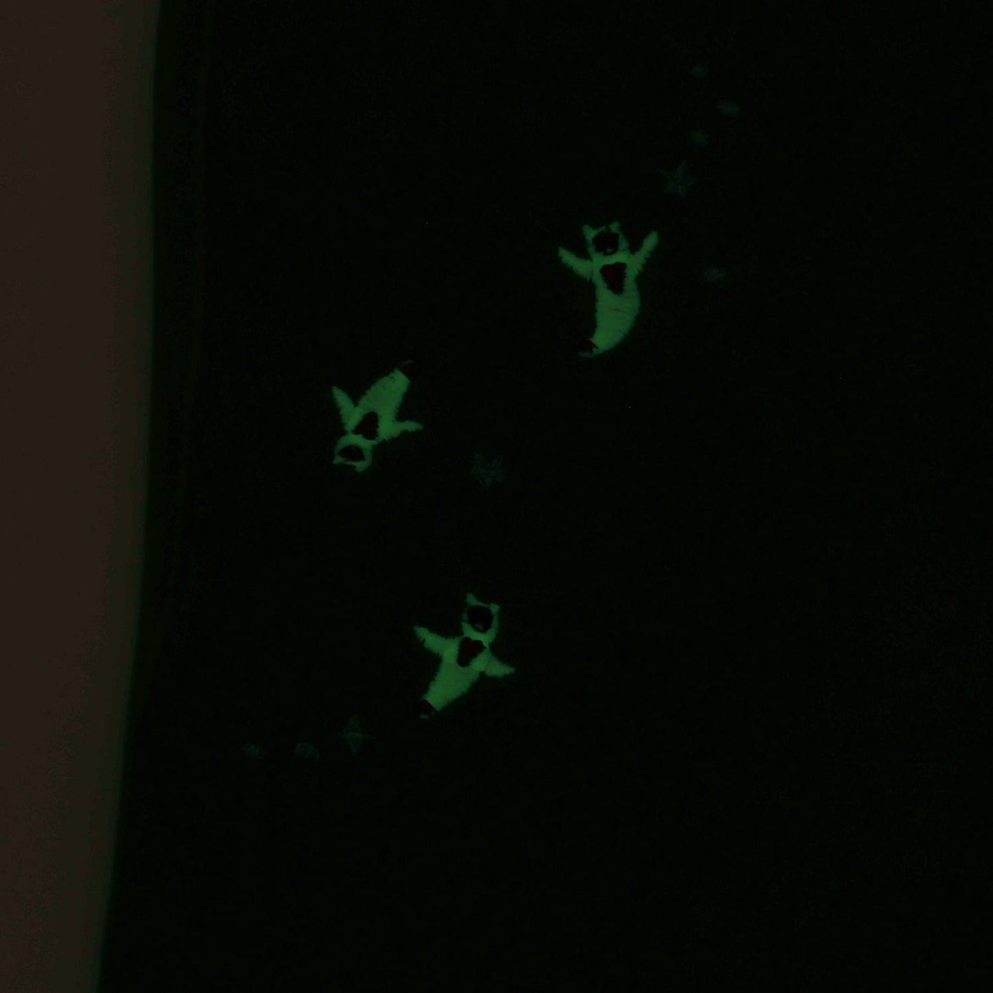 【蓄光】深海魚褲腳翻邊長款直筒褲