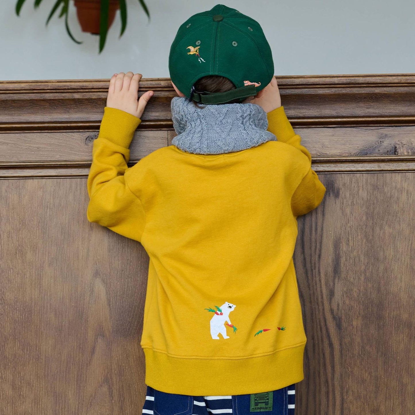 動物與恐龍與汽車衛衣