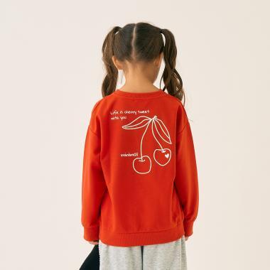 加絨背面印花拼接套頭衫