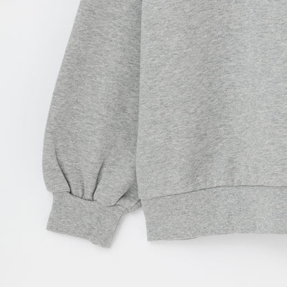 【LTXC】【100%純棉】加絨羊羔絨標誌連帽衛衣